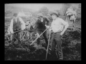 Peat farming is not as profitable as it sounds.