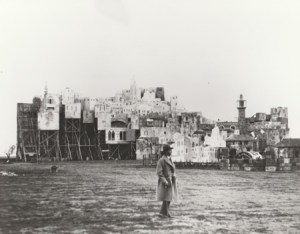 One of the backgrounds. (image courtesy of Christopher Bird)