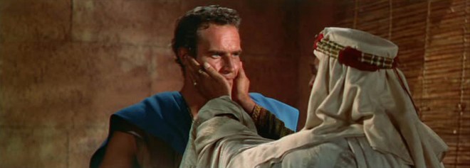 The Academy can eat horse apples!