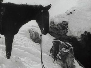 "The Squaw Man" was a gamble that paid off.