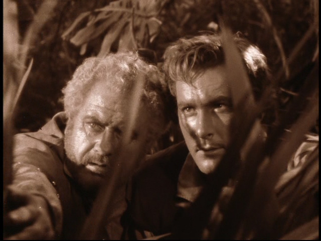 Even the dirt is clean!