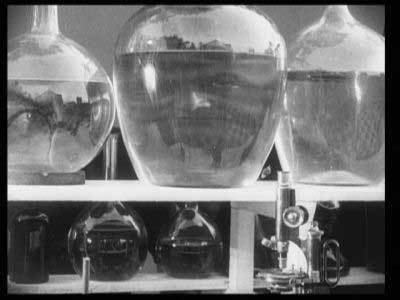 (cough, cough, ahem) Mwahahahaha!