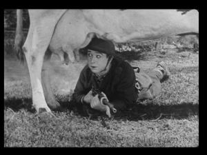 How udderly shocking.