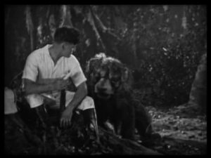 I totally fought a real lion! A really real one!