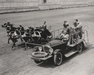 Real chariots, real racing. (image courtesy of Christopher Bird)