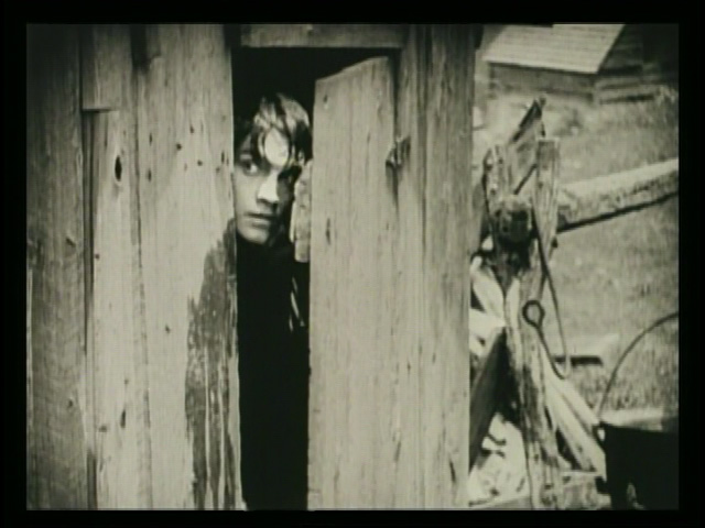 David just wants to grow up.