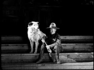 Hello, genius dog. Hello, small child with a firearm and legal enforcement powers.