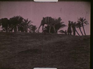 I believe this gives us an excuse to include shots of camels silhouetted against the desert sky.