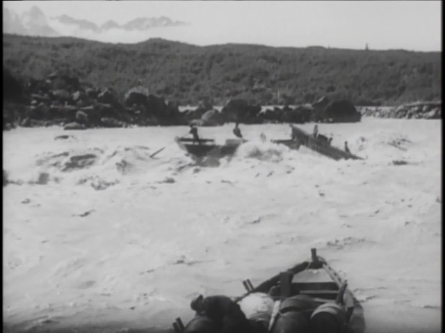 No movie is worth dying for