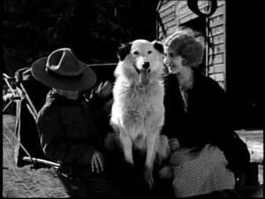 Awww! I want to boop his nose!