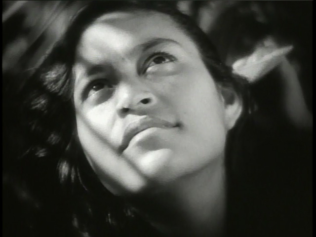 Who is really the director?