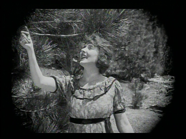 Nanette spots a squirrel. Eeeeeeee!