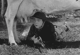 Cow udders = frightening ("Soldier Man")