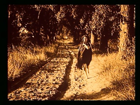 The natural beauty of the great outdoors. The natural beauty of the great outdoors.