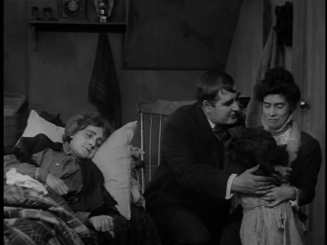 Ignore the body and listen to my proposal!