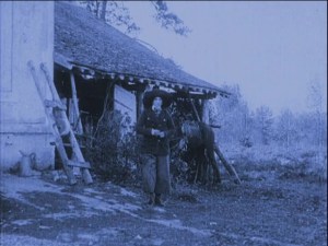 What is this place and why do I have a sudden craving for chicken?