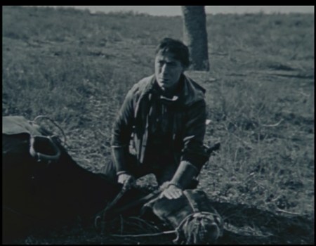 Dead people? No problem. Dead horses, though...