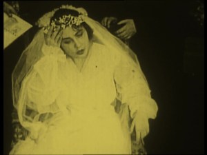 Fluffy should have checked the return policy at the bridal boutique.