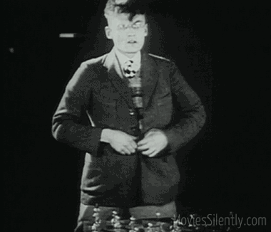 chess-fever-kitten-in-coat