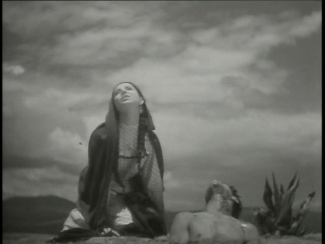 Let the images tell the story