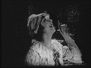 Nanette sees a squirrel. That’s not me being sarcastic. That is literally what is in the tree.