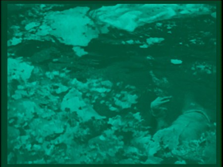 The convenient floating corpse