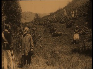 Legs that go on forever.