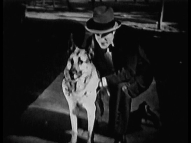 The Return of Boston Blackie (1927) A Silent Film Review – Movies Silently